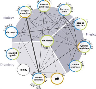 Physical, Chemical and Biological Effects on Soil Bacterial Dynamics in Microscale Models